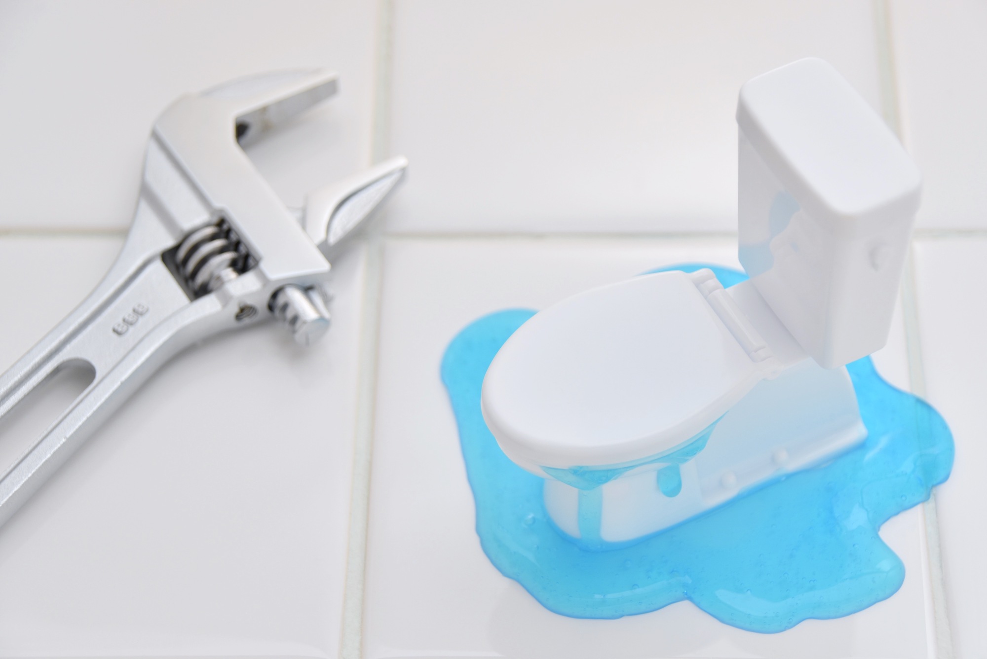 リーチクルーズの紹介写真_2枚目