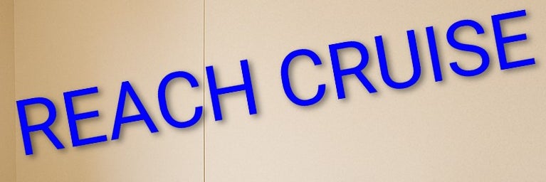 リーチクルーズの画像